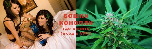 мдпв Володарск