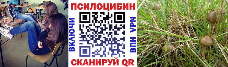 Купить где  Сафоново  Галлюциногенные грибы Magic Shrooms 